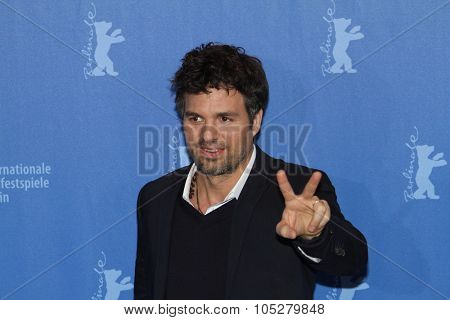 BERLIN - FEBRUARY 13: Actor Mark Ruffalo attends the 'Shutter Island' Photocall during day three of the 60th Berlin  Film Festival at the Grand Hyatt Hotel on February 13, 2010 in Berlin, Germany.