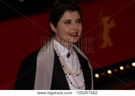 BERLIN, GERMANY - FEBRUARY 10:  Isabella Rossellini attends the 'True Grit' Premiere during the opening day of the 61st Berlin  Film Festival at  Palace on February 10, 2011 in Berlin, Germany.