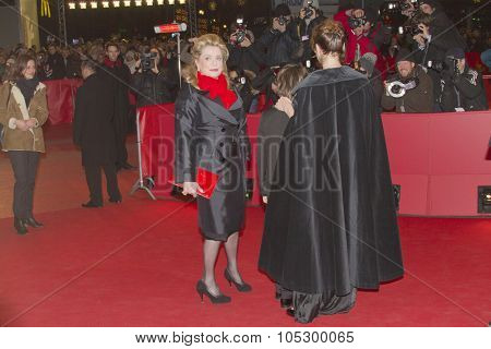 BERLIN, GERMANY - FEBRUARY 15: Actress Catherine Deneuve attends the 'On My Way' premiere during the 63rd Berlinale International Film Festival on February 15, 2013 in Berlin, Germany.