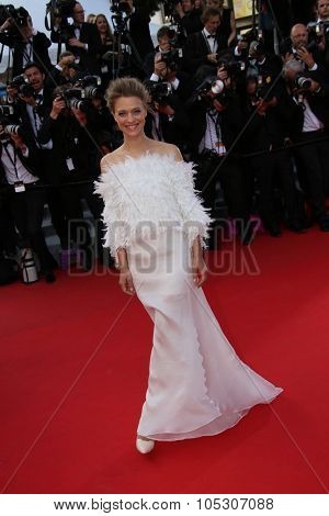 CANNES, FRANCE - MAY 16:  Heike Makatsch attends the 'How To Train Your Dragon 2' premiere during the 67th Annual Cannes Film Festival on May 16, 2014 in Cannes, France.