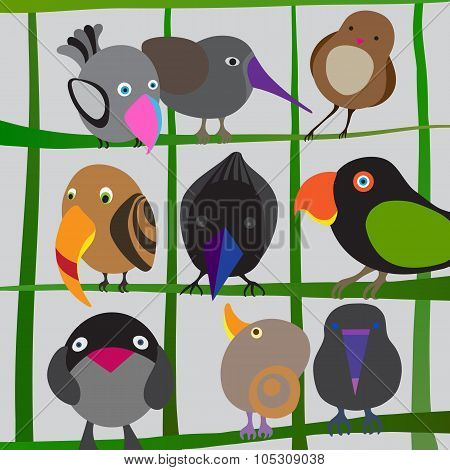 Birds