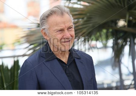 Harvey Keitel attends the 'Youth' Photocall during the 68th annual Cannes Film Festival on May 20, 2015 in Cannes, France.