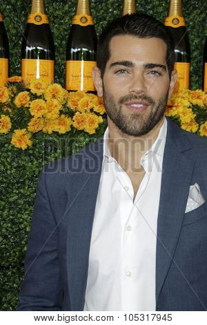 LOS ANGELES - OCT 17:  Jesse Metcalfe at the Sixth-Annual Veuve Clicquot Polo Classic at the Will Rogers State Historic Park on October 17, 2015 in acific Palisades, CA