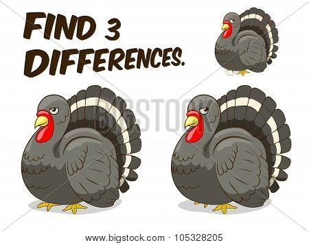 Find differences game turkey vector illustration