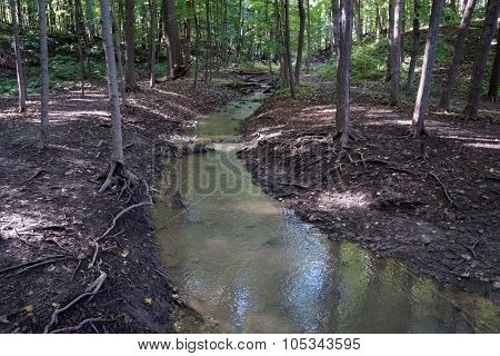 Creek