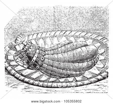 Ham with jelly, vintage engraved illustration.