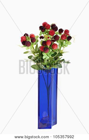 berry isolated on white background