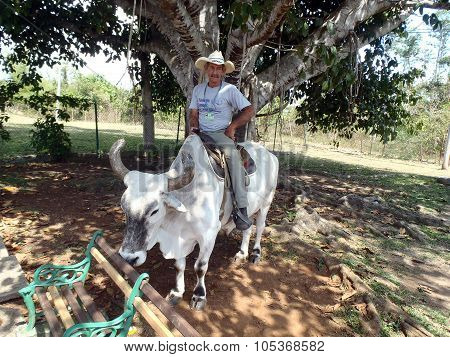 Farmer