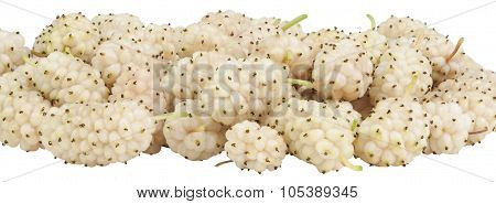 Mulberry