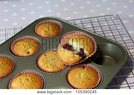 Muffin Cooked In Tray