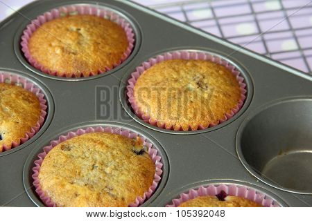 Muffin Cooked In Tray