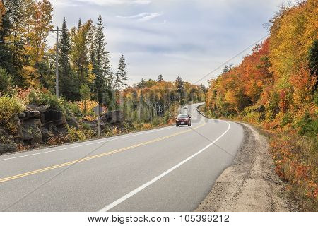 Winding Road Lined By Colorful Trees In Autumn