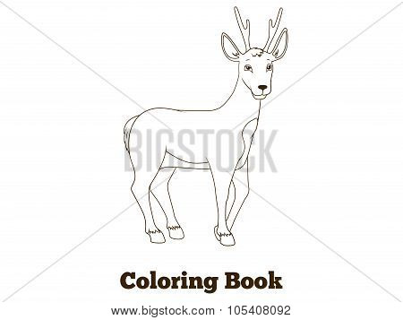 Coloring book forest animal roe deer cartoon