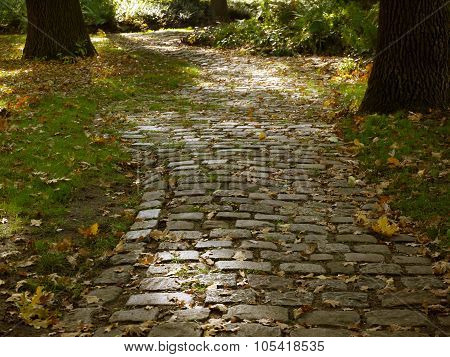 Autumn Is Here