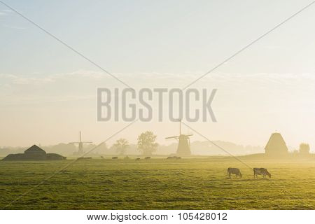 Two Wind Milla And Two Cows Streefkerk