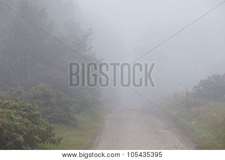 Amrum (germany) - Path At Fog