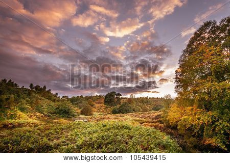 Autumn Landscape Near Haltwhistle