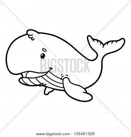 Cute whale.