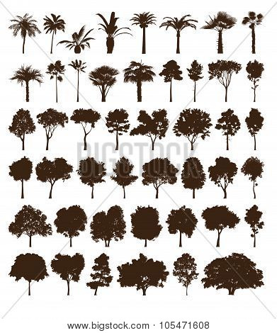 Vector elements trees