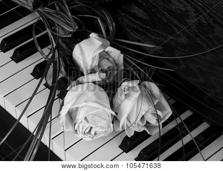 Condolence Card - Roses On Piano