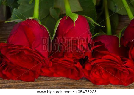 pile of red roses