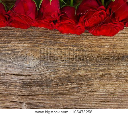 pile of red roses