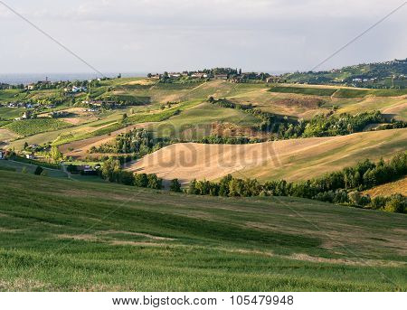 Vineyards In Oltrepo Pavese (italy)