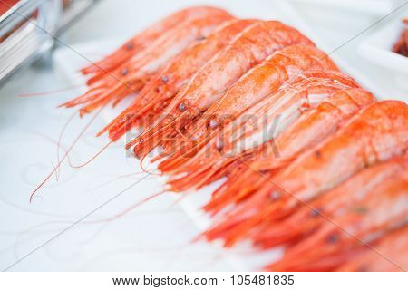 King Prawns On A Banquet. Starters Table