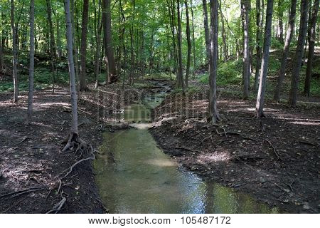 Creek