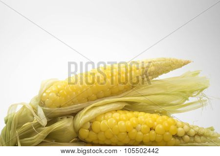 little sweet corn