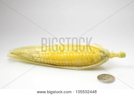 little sweet corn