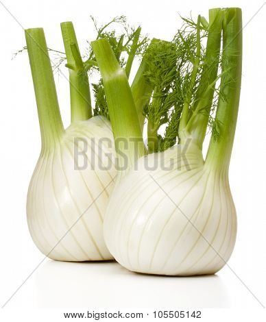 Fresh fennel bulb isolated on white background close up