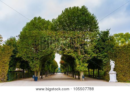 Schonbrunn royal castle park with perfectly cut trees alley - Schonbrunn Vienna Austria