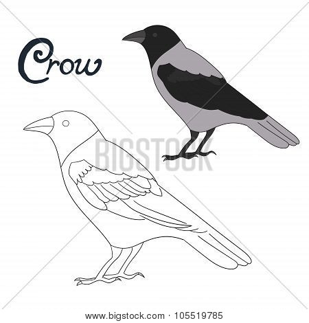 Educational game coloring book crow bird vector