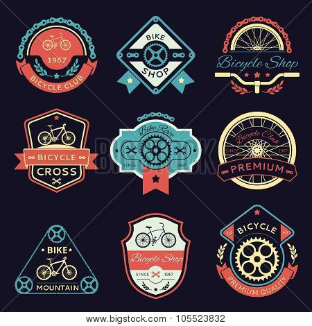 Bicycle and bike color vector logo