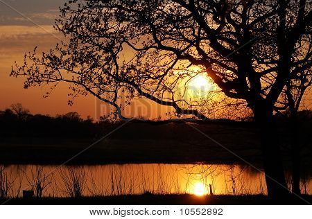 Sonnenuntergang und Baum