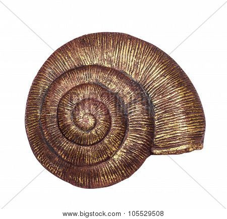 Shell Big