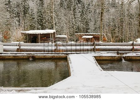 KREUTH, GERMANY - JANUARY 2015 : Snowy view of fish pond at Herzogliche Fischzucht in Wildbad Kreuth during the winter in Kreuth, Germany on January 4, 2015.