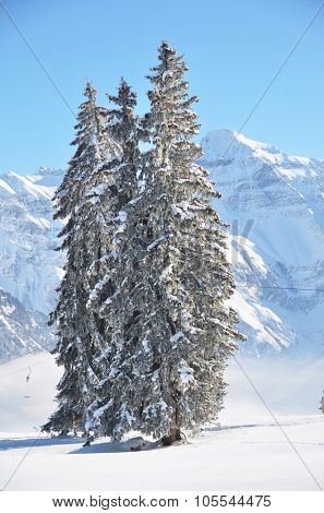 Braunwald, Switzerland