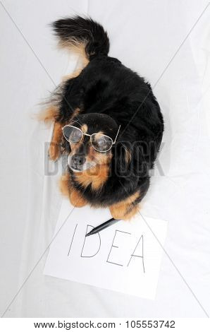 Drawing Dog