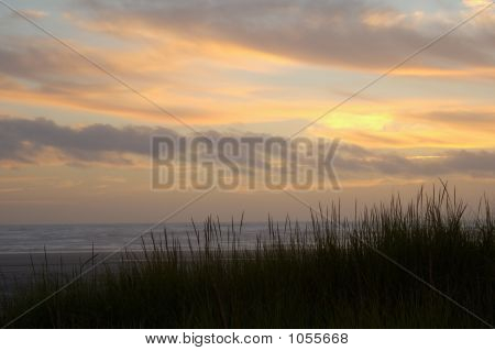 Seascape 1