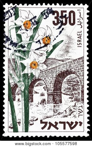 Israel 1954
