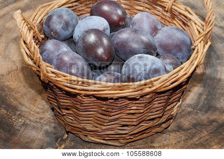 Freshly Harvested Plums