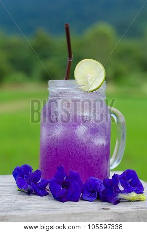 Bulletfly Pea (asian Pigeonwings) Juice