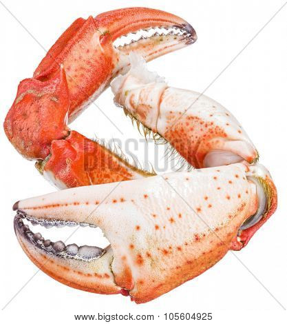 Cooked crab claws. File contains clipping paths.