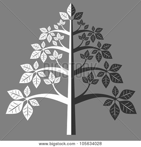 Silhouette of a tree 7