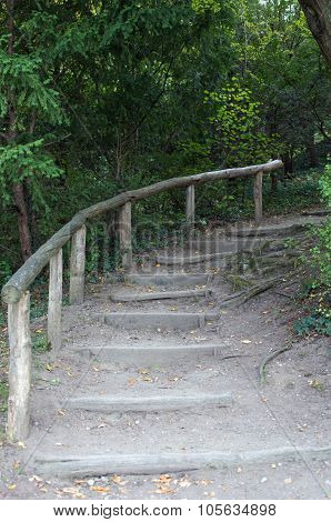 Path in forest