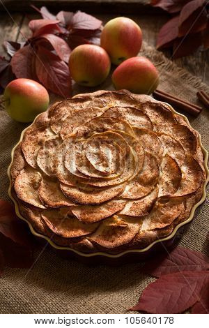 Traditional American holiday celebration apple pie sweet baket dessert food with cinnamon and apples