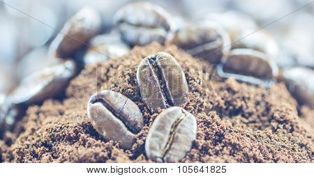 Coffee Beans  Texture  On The Wood Background