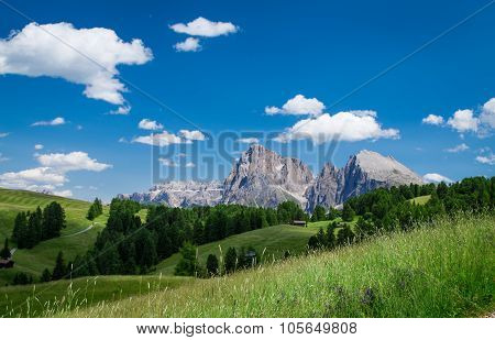 Panorama Of Sella Group, Dolomiti,trentino